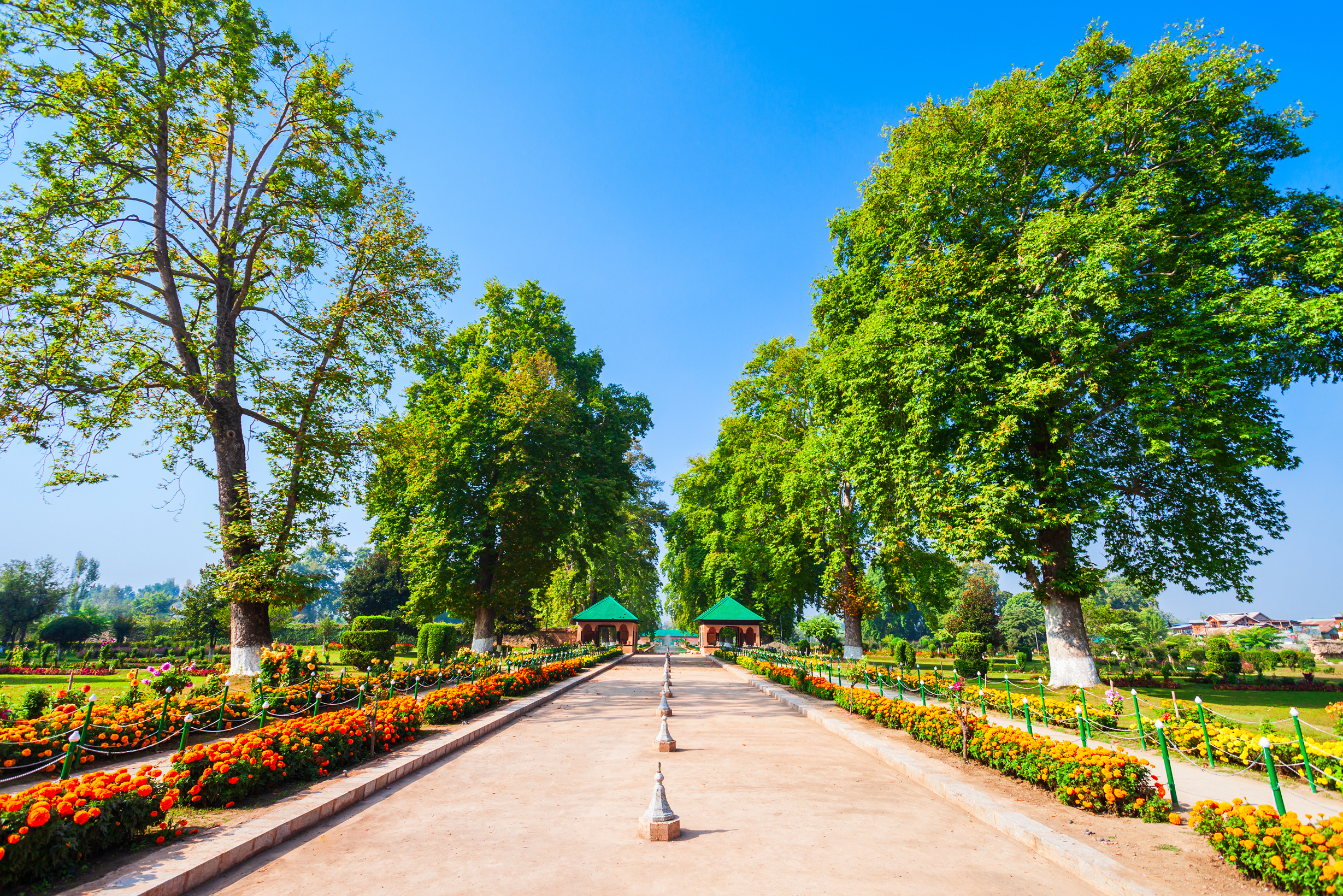 Kashmir Image