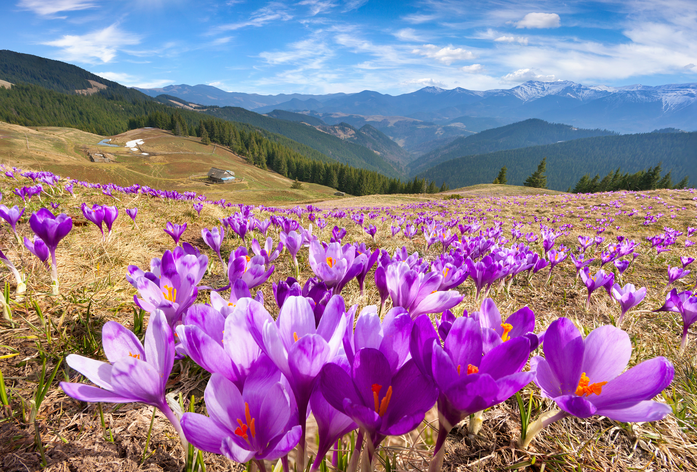 Kashmir Image