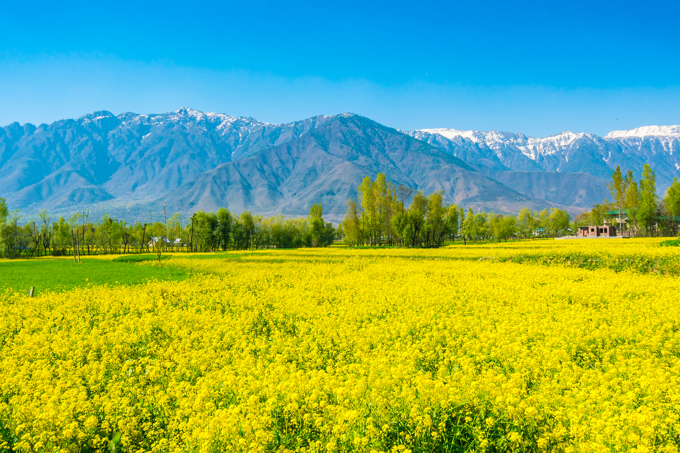 kashmir city