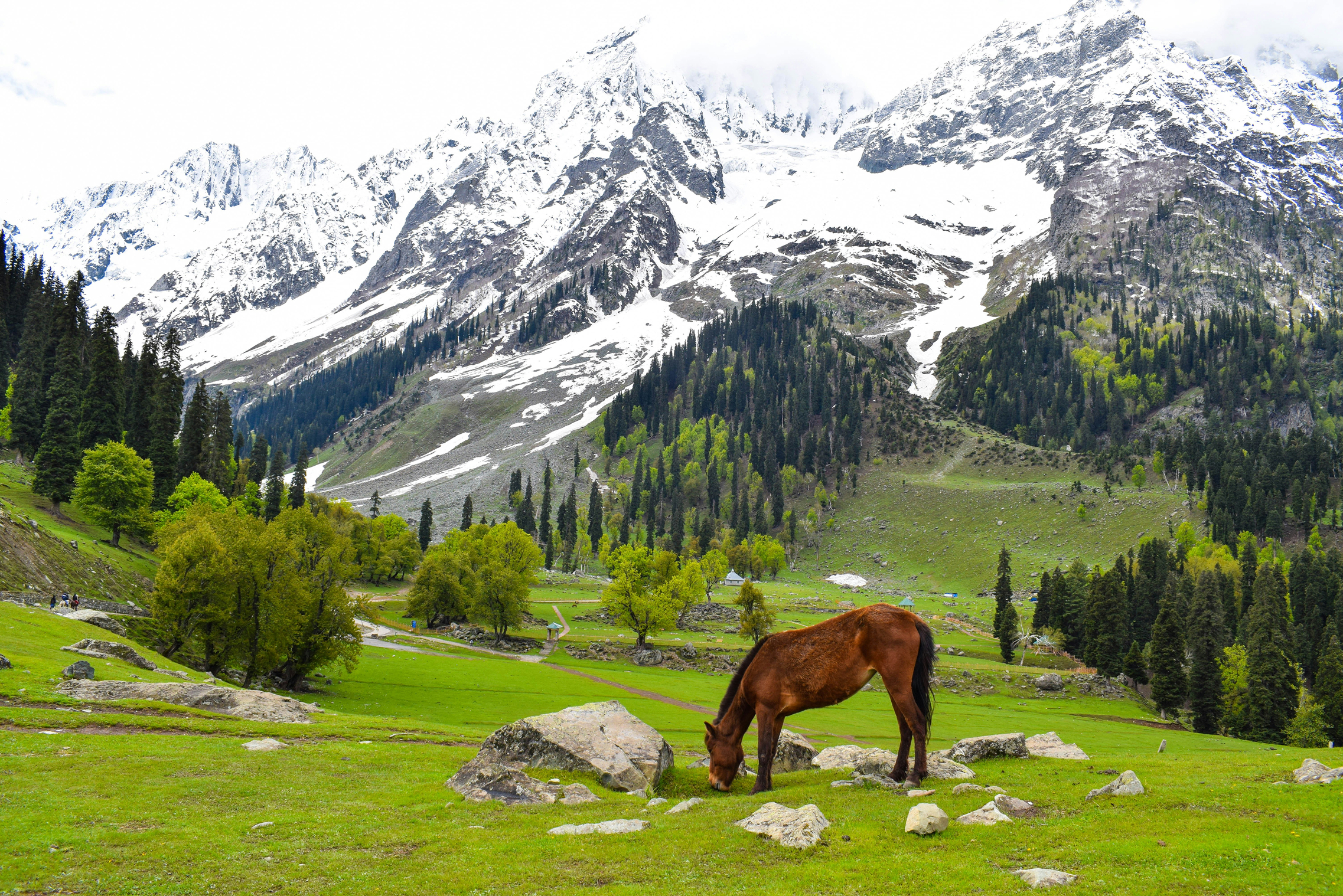 kashmir city