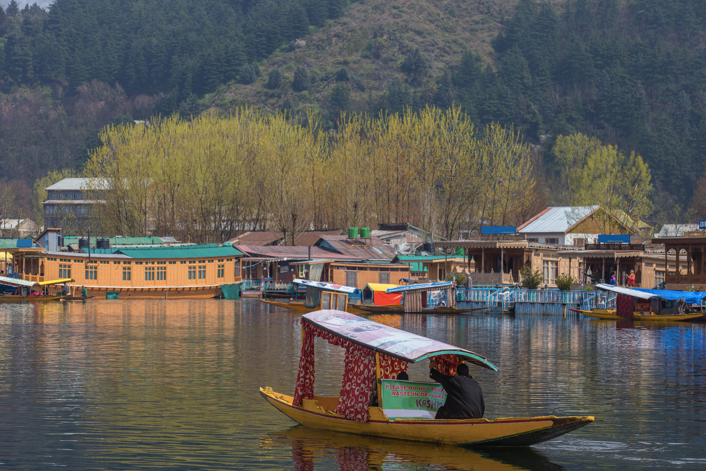 kashmir city