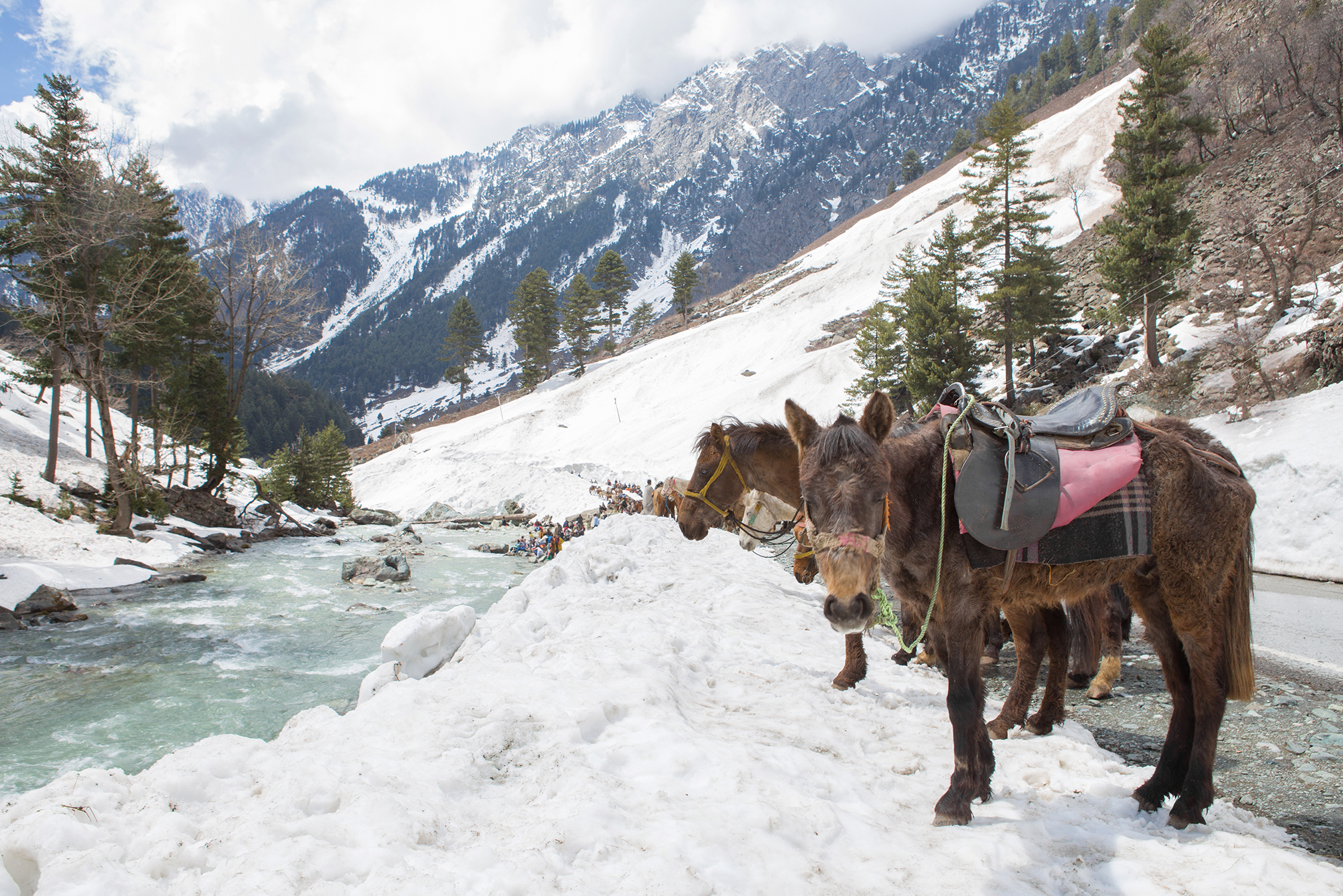Kashmir City Highlights Package