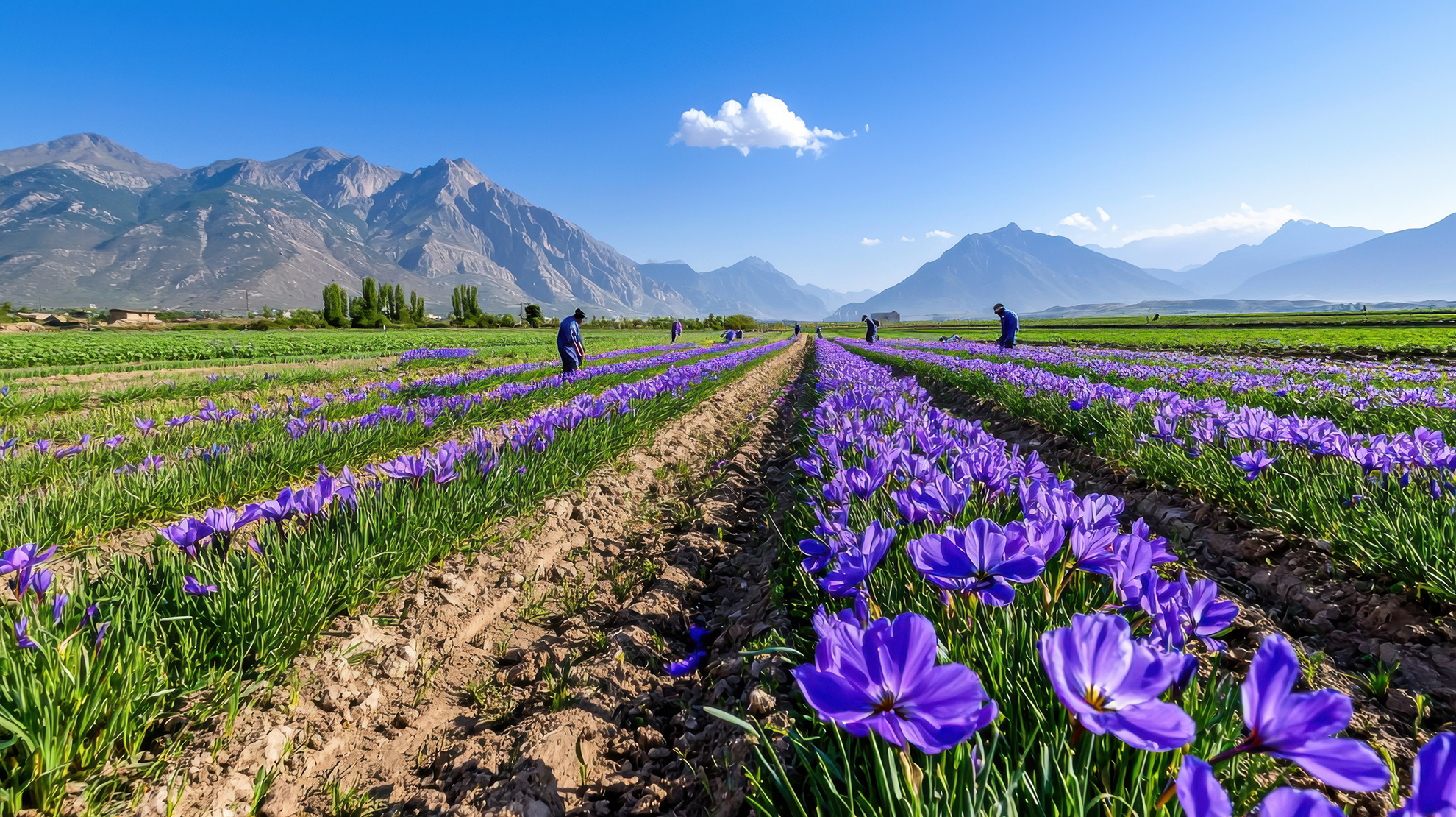 Kashmir City Highlights Package