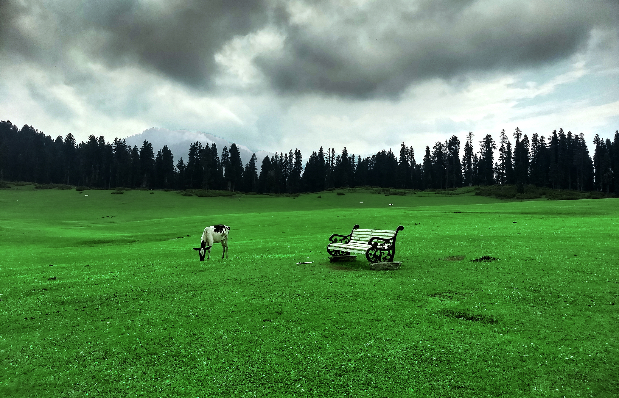Kashmir Grand Highlights Package