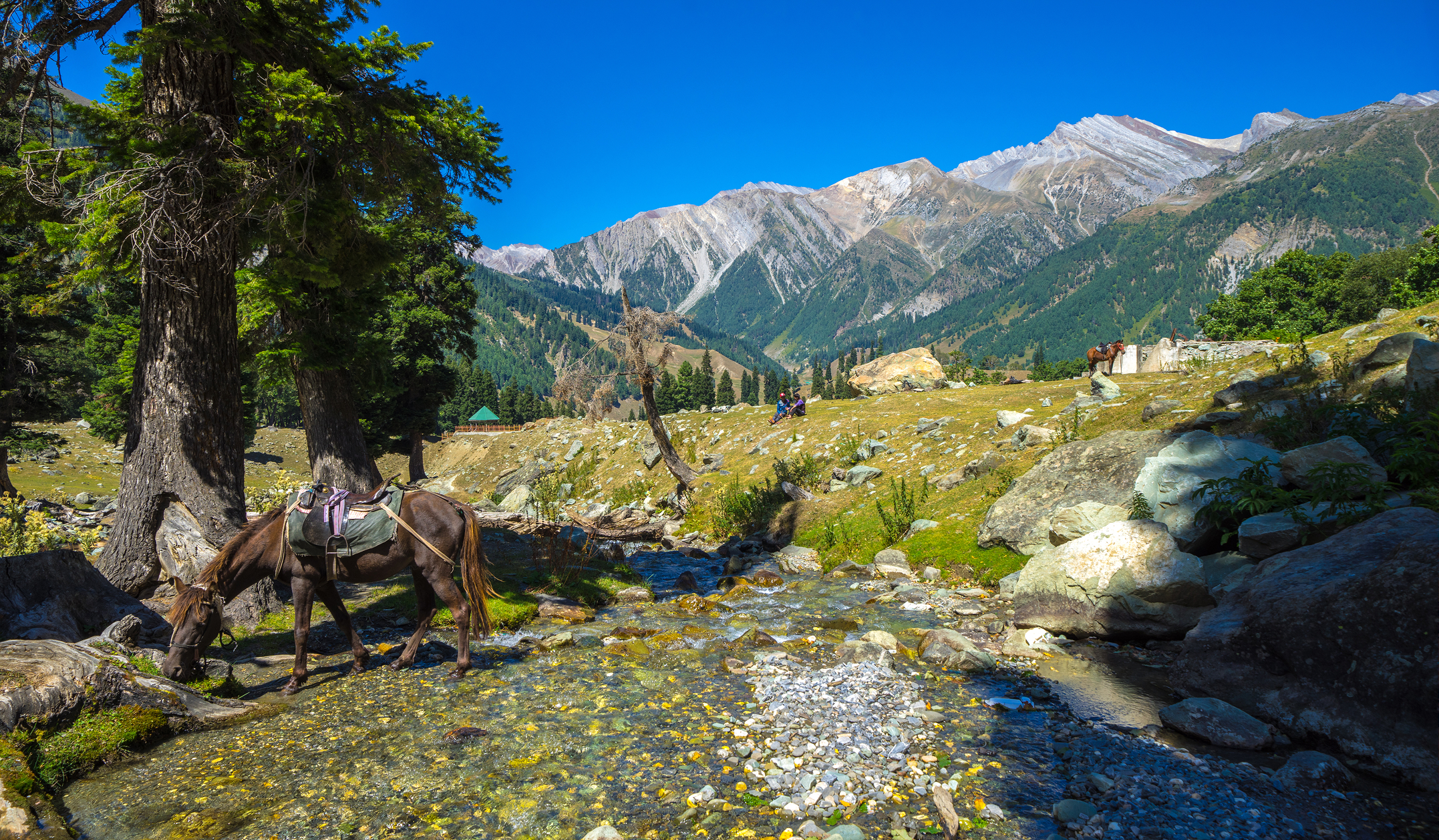 Kashmir Grand Highlights Package