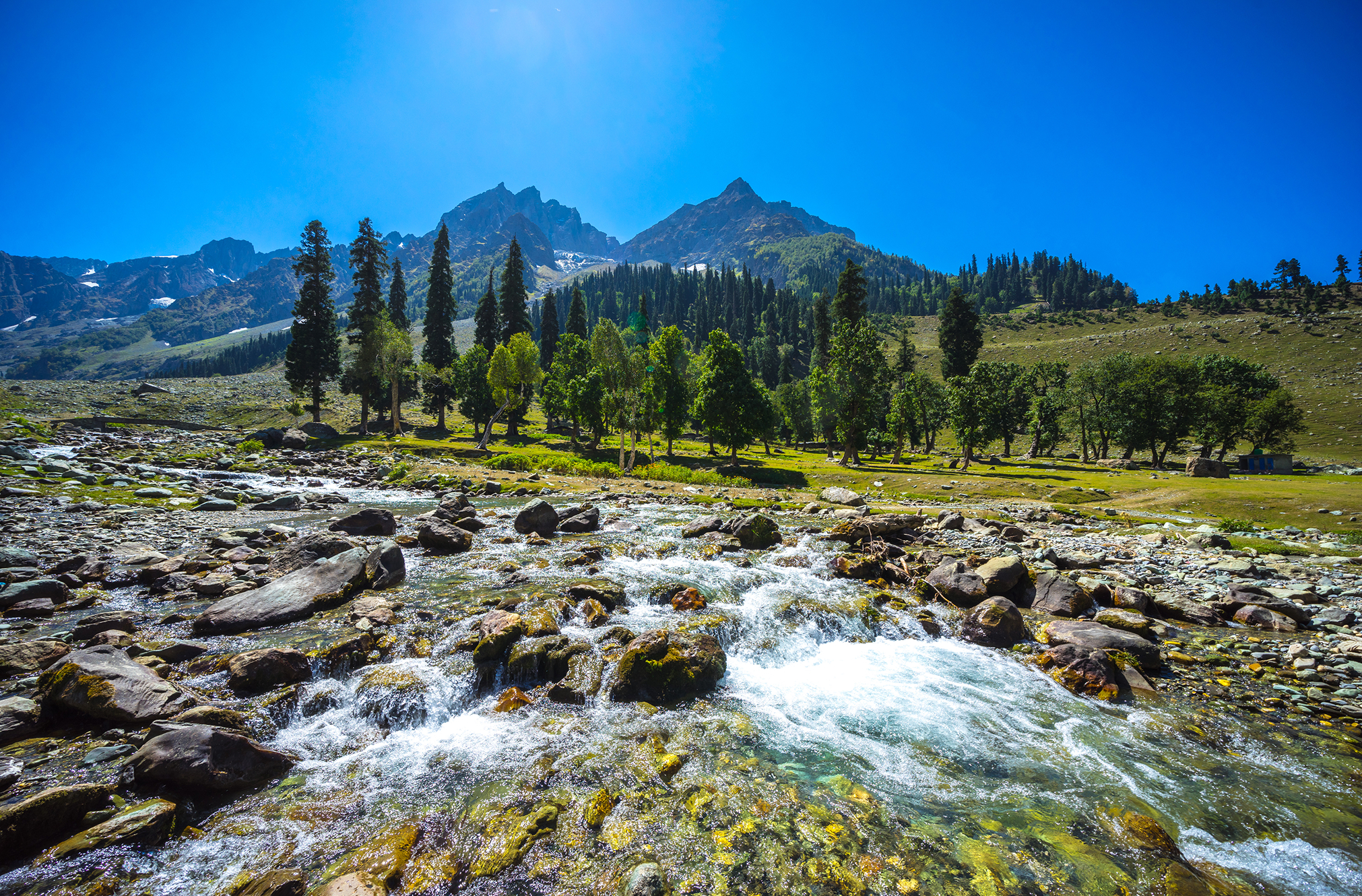 Kashmir Grand Highlights Package