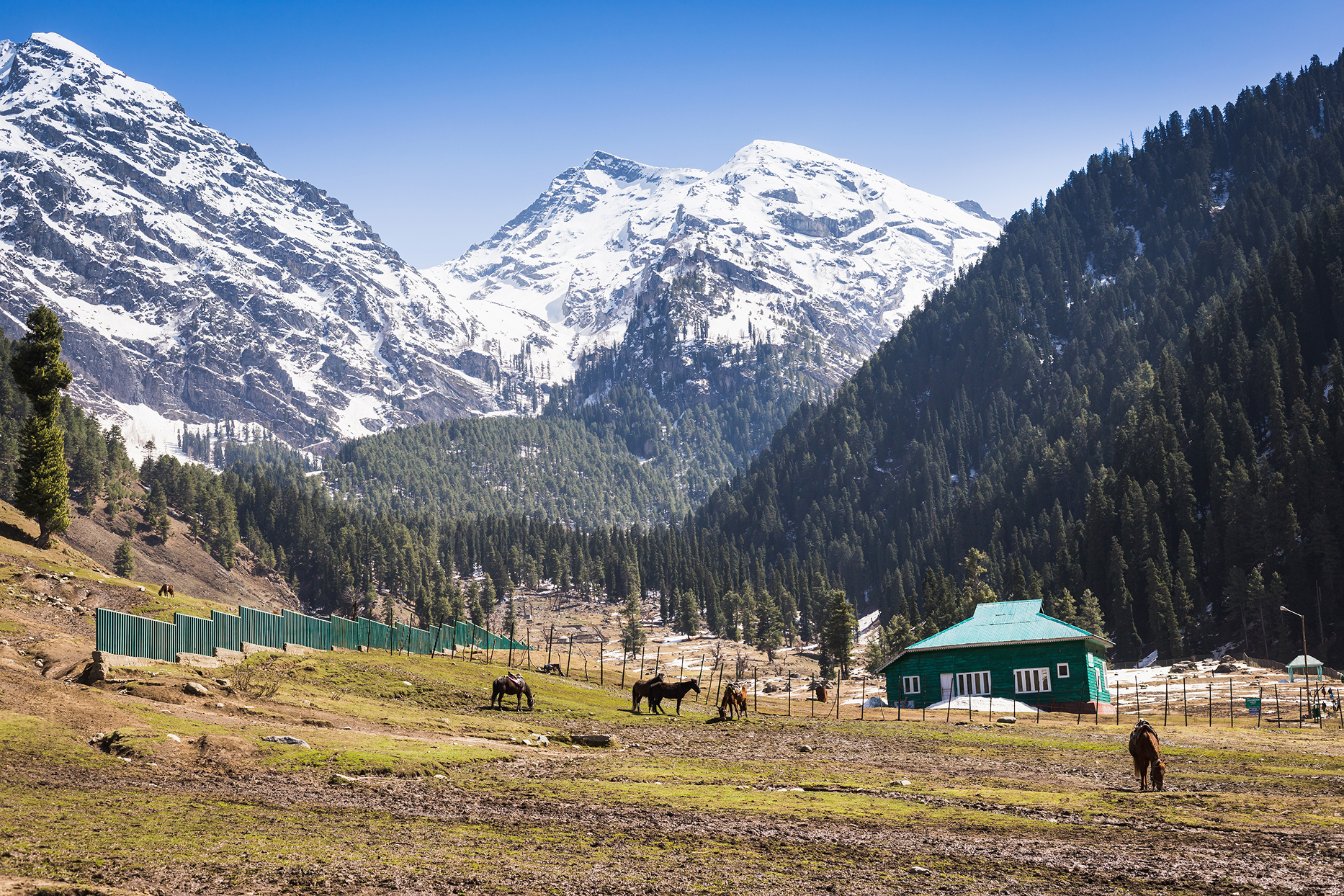 kashmirVaishnoDeviHighlights