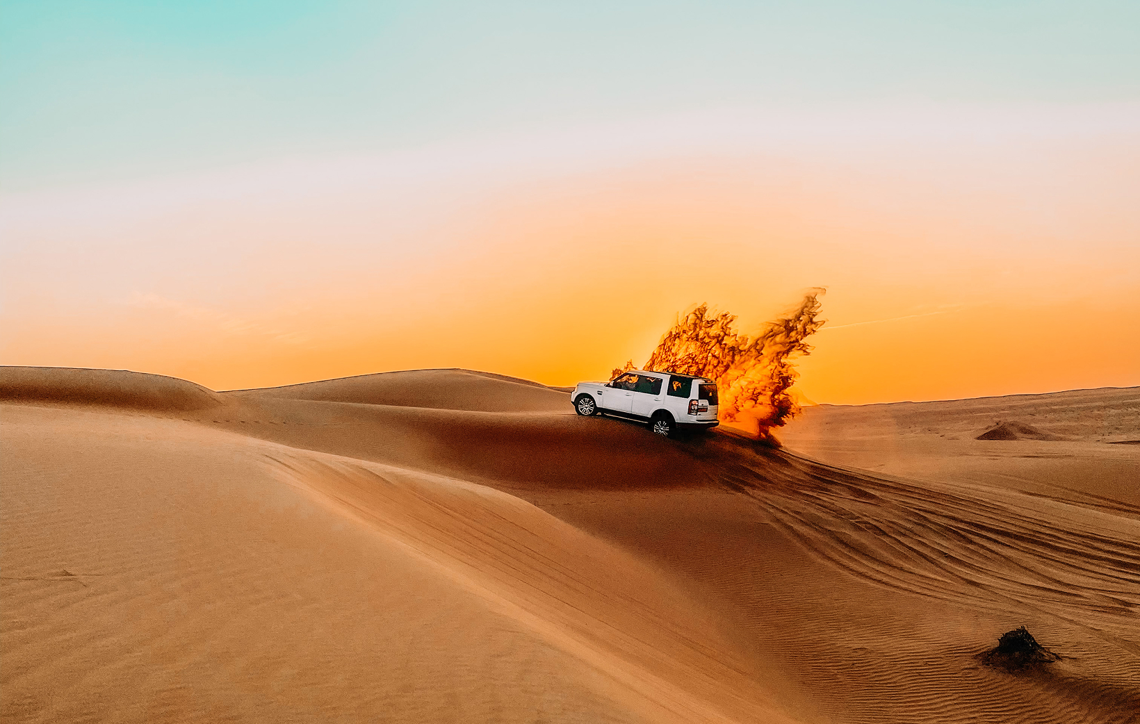 Dubai Desert Safari