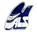 Airline