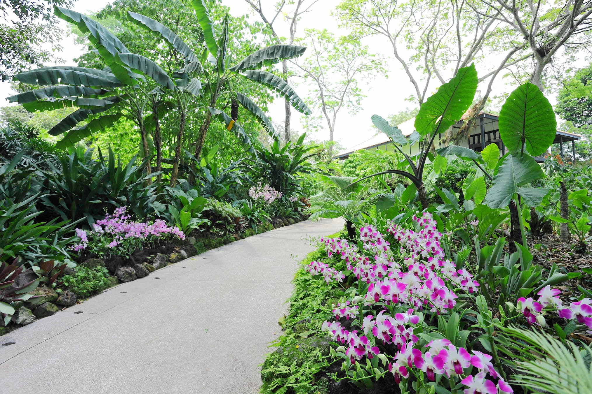 Botanic Gardens
