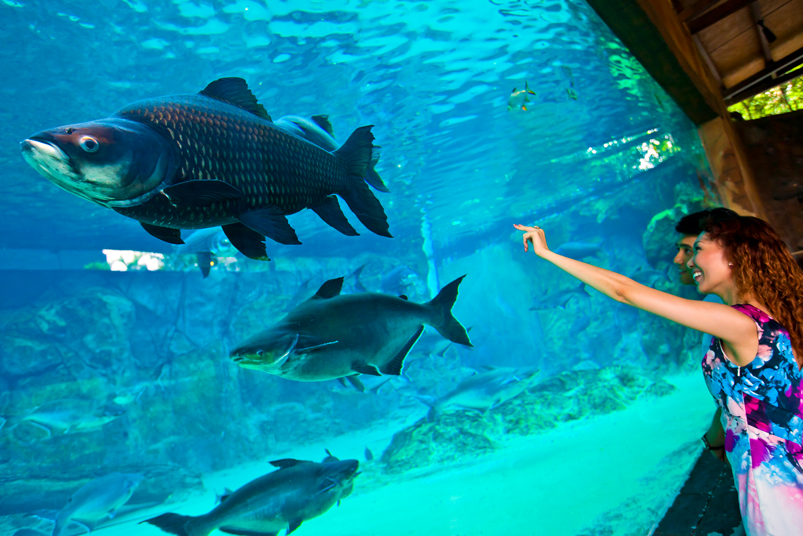 singapore tour package