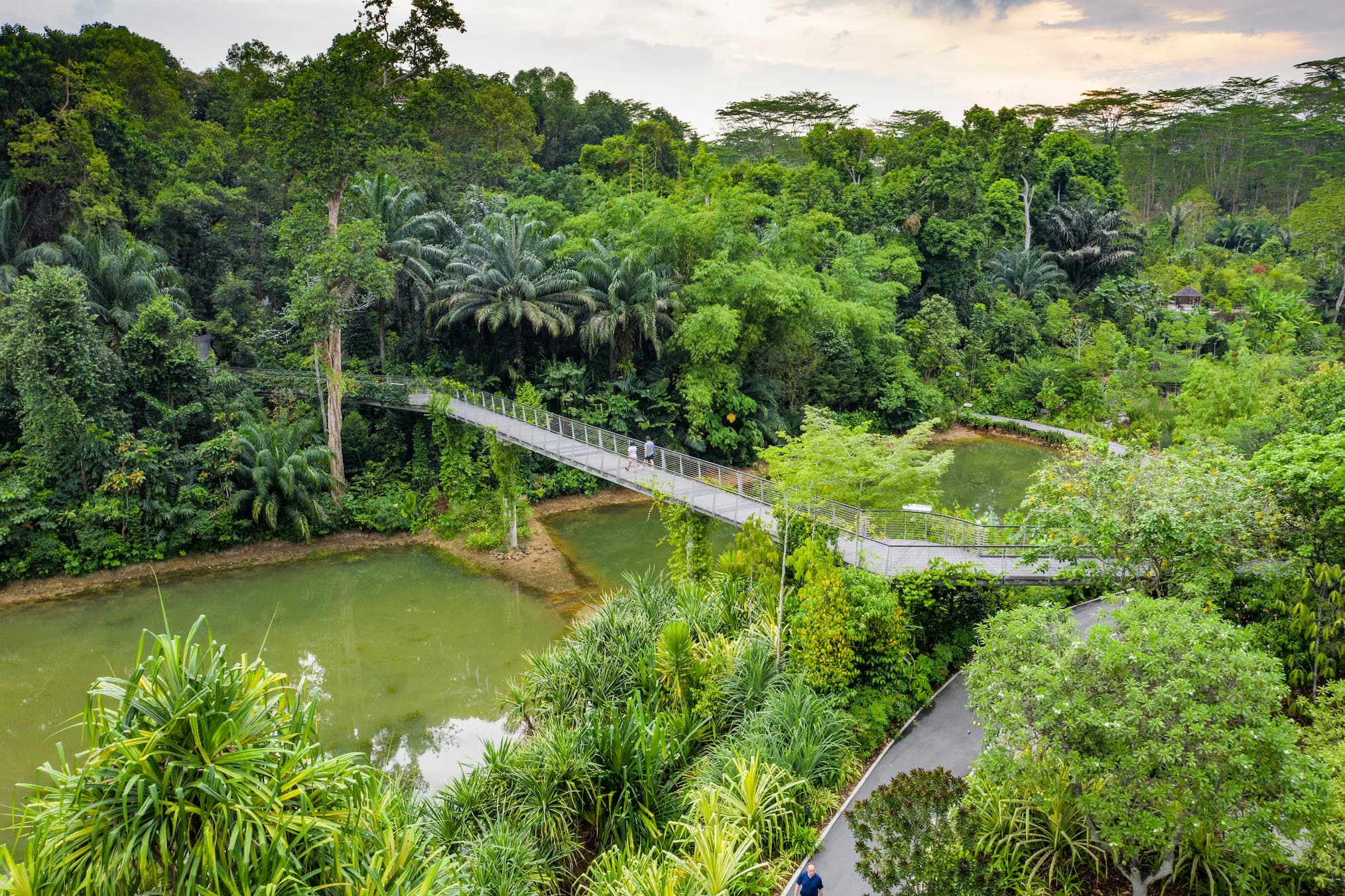 Botanic Gardens