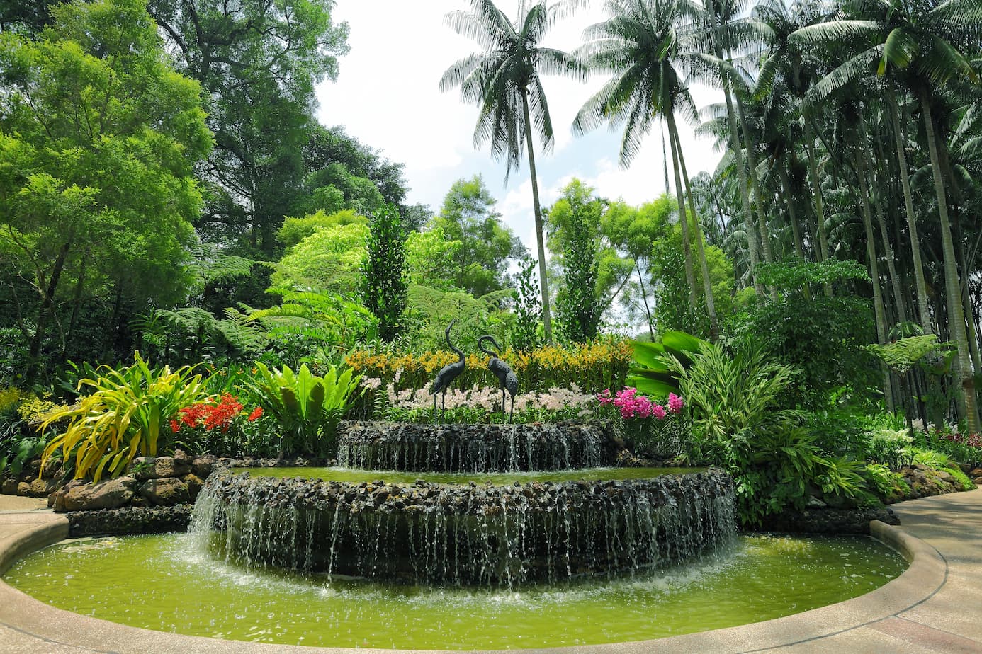 National Orchid Garden