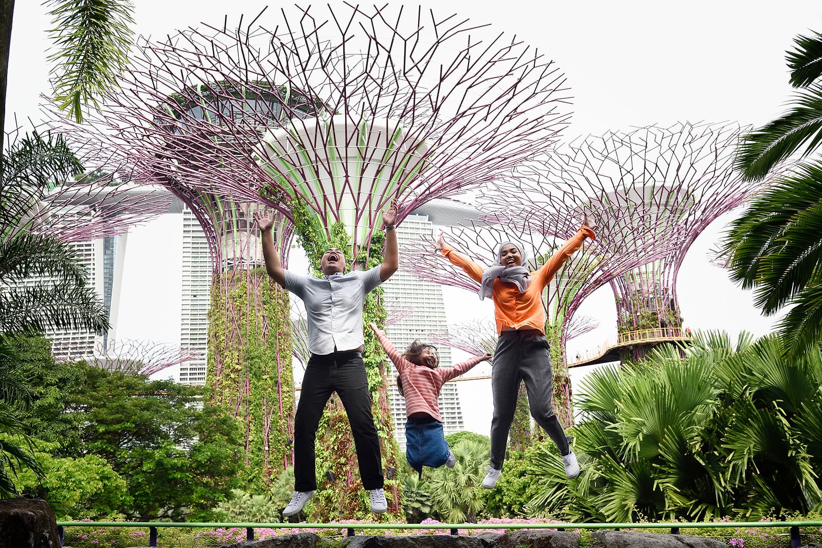 Supertree Grove