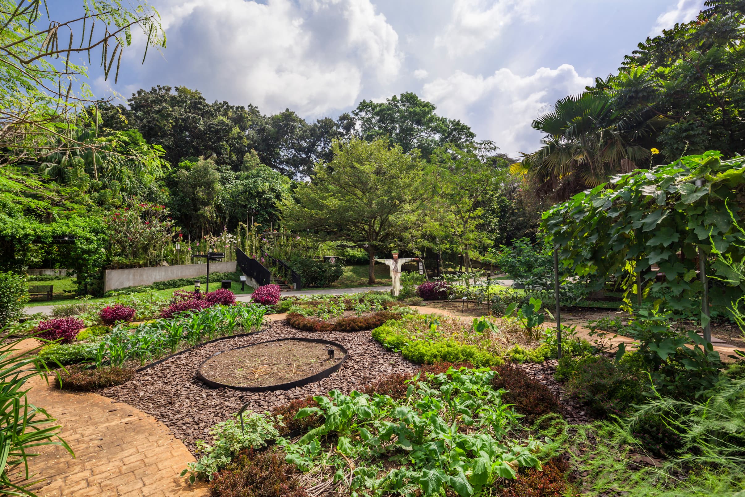 Orchid Garden