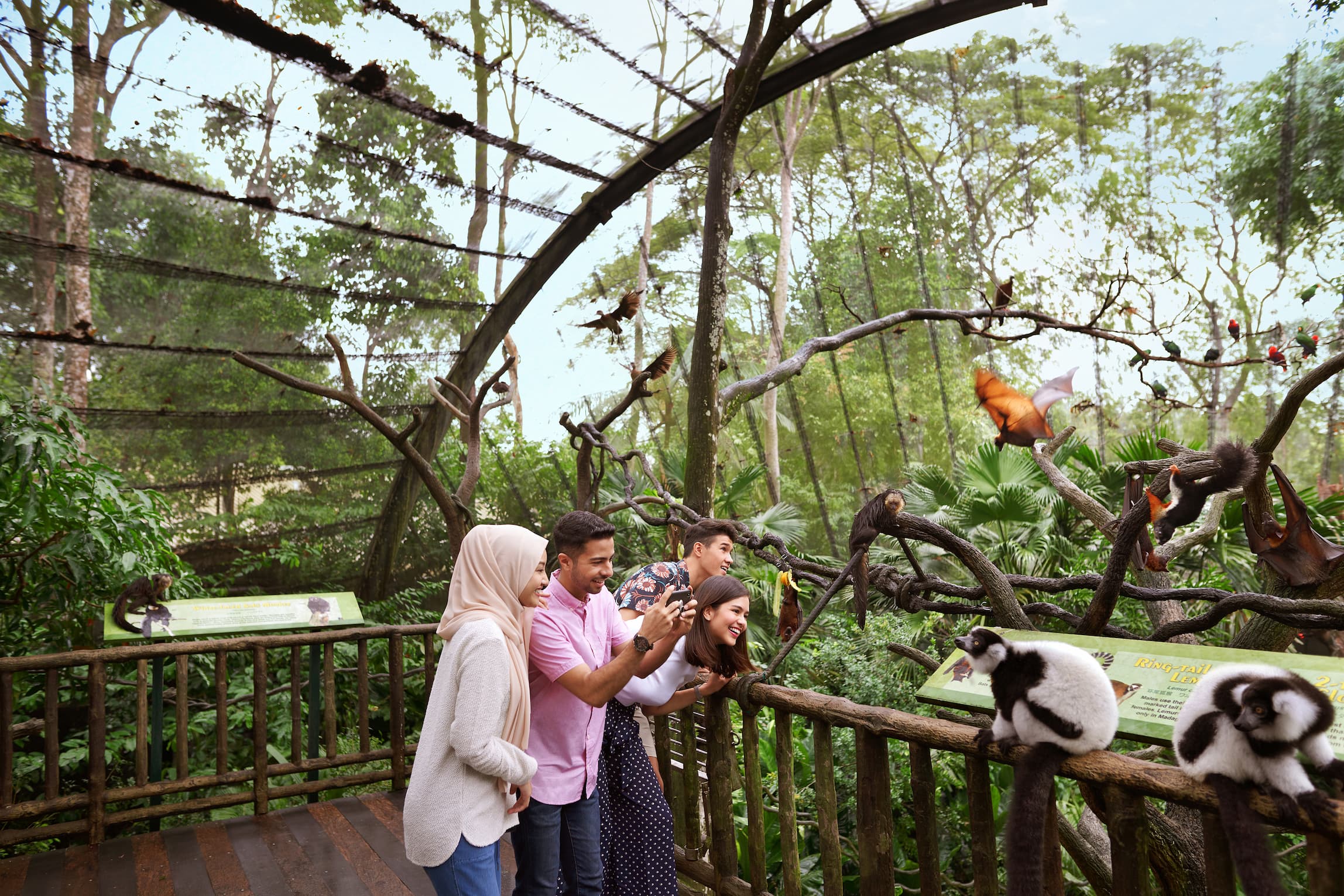 Singapore Zoo